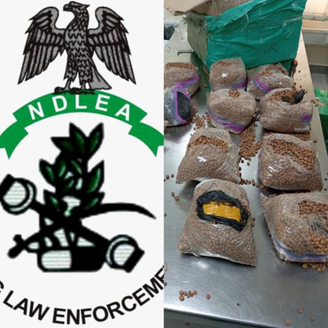 NDLEA Finds UK-Bound Drugs Hidden In Tiger Nuts, Groundnut Packages NDLEA Finds UK-Bound Drugs Hidden In Tiger Nuts, Groundnut Packages