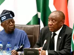 S/Africa Announces 5-Year Visa Plan For Nigerians, Removes Passport Requirement