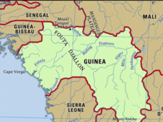 Dozens Dead In Violent Clashes At Guinea Football Match Dozens Dead In Violent Clashes At Guinea Football Match