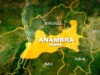 Police Confirm 22 Deaths In Anambra Stampede