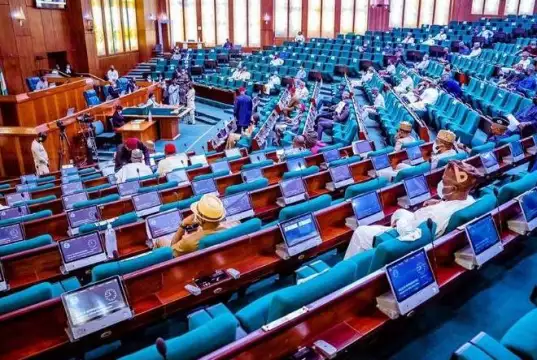 Tax Reform: Reps Suspend Debate Indefinitely As Northern Govs Mount Pressure N’Assembly Divided As Compulsory Voting Bill Advances