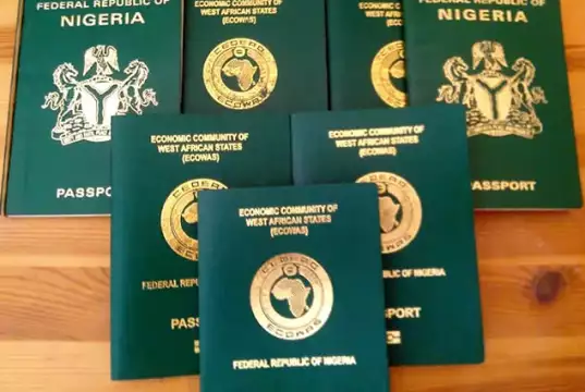 Bluefern Pledges To Simplify Pathway For Immigration NIS Announces Routine System Maintenance On Passport Platform