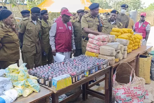 NDLEA Nabs 46, Seizes 537kg Of Drugs In Yobe Operation NDLEA Nabs 46, Seizes 537kg Of Drugs In Yobe Operation