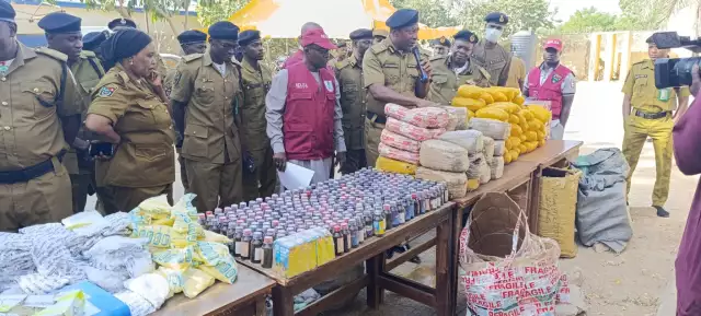 NDLEA Nabs 46, Seizes 537kg Of Drugs In Yobe Operation NDLEA Nabs 46, Seizes 537kg Of Drugs In Yobe Operation