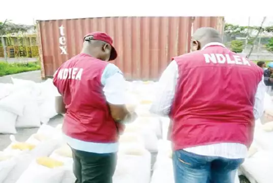 NDLEA Busts Trans-border Trafficking Syndicate NDLEA Busts Trans-border Trafficking Syndicate