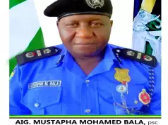 Police Intercept Vehicle, Recover 2,765 Live Cartridges In Cross River Police Intercept Vehicle, Recover 2,765 Live Cartridges In Cross River