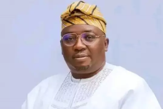 Nigeria To Gain Power Generation Lessons From Egypt – Minister Nigeria To Gain Power Generation Lessons From Egypt – Minister