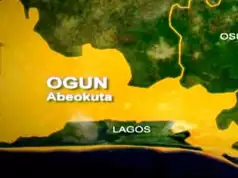 Ogun Farmer Dies After Being Hit By Falling Palm Tree Ogun Farmer Dies After Being Hit By Falling Palm Tree