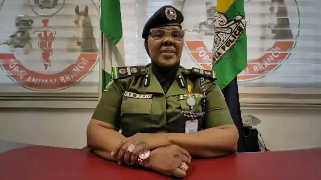 AIG Announces End To Pregnancy Dismissal Rule For Unmarried Officers AIG Announces End To Pregnancy Dismissal Rule For Unmarried Officers