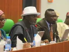 Nigeria Seeks Alternative Health Funding As U.S. Cuts USAID Support (Video) Nigeria Seeks Alternative Health Funding As U.S. Cuts USAID Support (Video)