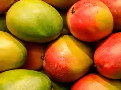 Truckload Of Carbide-Ripened Mangoes Intercepted By NAFDAC In Gombe Truckload Of Carbide-Ripened Mangoes Intercepted By NAFDAC In Gombe