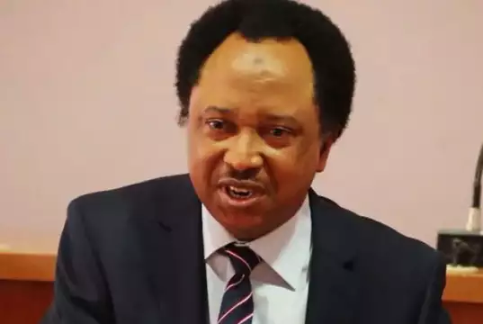 2027: Shehu Sani Declares Interest In Kaduna Central Senatorial Seat Sani Rebukes Trump’s Military Threat On Nigeria