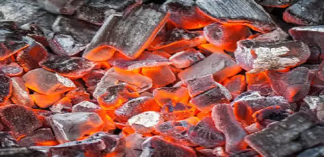 Nigeria’s Wood, Charcoal Exports Face EU Ban Threat, Experts Caution Nigeria's Wood, Charcoal Exports Face EU Ban Threat, Experts Caution