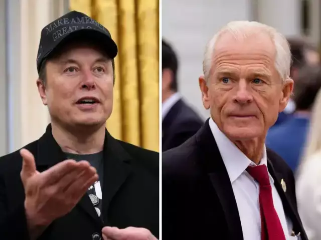 Musk Slams Trump’s Trade Advisor, Calls Him A ‘Moron’ Musk Slams Trump’s Trade Advisor, Calls Him A ‘Moron’