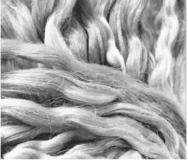 Plantain Fiber Hair Extensions: A Stylish and Affordable Alternative for Women Amid Rising Costs Plantain Fibre Hair Extensions: A Stylish and Affordable Alternative for Women Amid Rising Costs