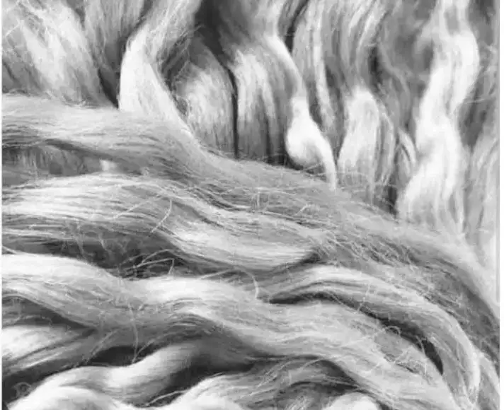 Plantain-fibre-hair Plantain Fibre Hair Extensions: A Stylish and Affordable Alternative for Women Amid Rising Costs