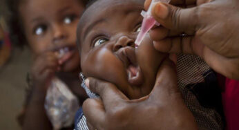 Polio Transmission Still Ongoing In Nigeria, NPHCDA Reports
