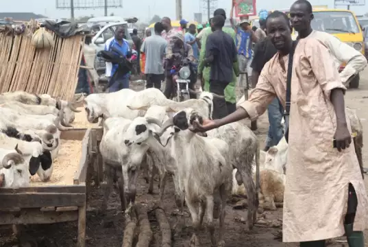 S’Arabia Declares June 6 As Sallah Day