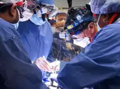 Surgeons Perform World’s First Human Bladder Transplant In Los Angeles Surgeons Perform World’s First Human Bladder Transplant In Los Angeles