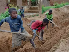 138 Million Children Involved In Child Labour Globally In 2024, ILO Reports 138 Million Children Involved In Child Labour In 2024, Says ILO