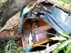 Pregnant Woman, Husband Escape Unhurt As Mango Tree Falls On Tricycle In Ebonyi (Photos) Pregnant Woman, Husband Escape Unhurt As Mango Tree Falls On Tricycle In Ebonyi (Photos)