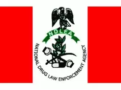 NDLEA Destroys 30 Hectares Cannabis Farmland In C’River NDLEA Destroys 30 Hectares Cannabis Farmland In C’River
