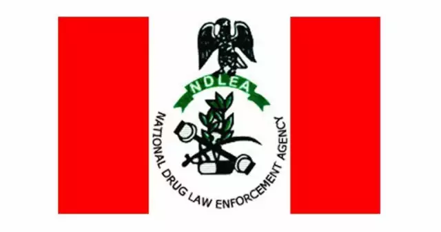 NDLEA Destroys 30 Hectares Cannabis Farmland In C’River NDLEA Destroys 30 Hectares Cannabis Farmland In C’River