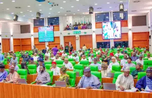 Reps Probes Defaulting Banks, Agencies Over Agric Subsidy Reps Probes Defaulting Banks, Agencies Over Agric Subsidy