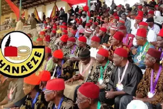 Ohanaeze Condemns South-East, South-South Exclusion In Federal Appointments Ohanaeze Condemns South-East, South-South Exclusion In Federal Appointments