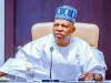 VP Shettima Urges States To Fix Its Electricity Problems VP Shettima Urges States To Fix Its Electricity Problems