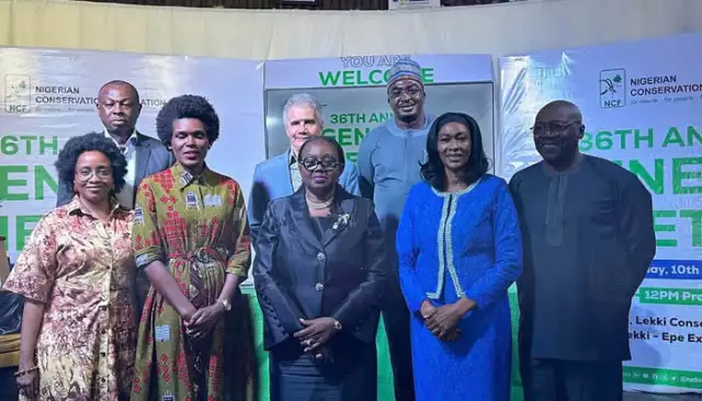 NCF Plants 184,000 Trees To Restore Nigeria Forest Cover NCF Plants 184,000 Trees To Restore Nigeria Forest Cover