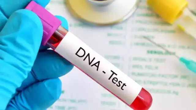 1 In 4 Nigerian Children Fail DNA Test – New Report Stirs National Debate 1 In 4 Nigerian Children Fail DNA Test – New Report Stirs National Debate