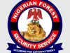 State Govt Compel To Deploy Forest Guards As Insecurity, Banditry Deepens State Govt Compel To Deploy Forest Guards As Insecurity, Banditry Deepens