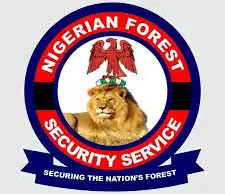 State Govt Compel To Deploy Forest Guards As Insecurity, Banditry Deepens State Govt Compel To Deploy Forest Guards As Insecurity, Banditry Deepens