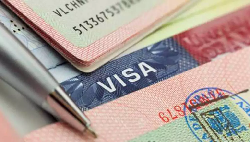 Germany Unveil New Schengen Visa Centres In Nigeria, Cameroon, Cyprus