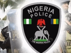 Delta Police Apprehends Stolen Car Thief Delta Police Apprehends Stolen Car Thief