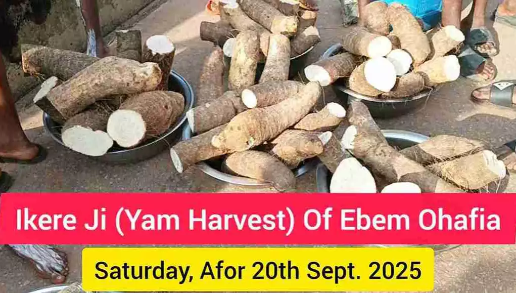 Ebem Ohafia Kicks Off 2025 New Yam Festival With Ikere Ji (Yam Harvest) Rites (Photos + Video) Ebem Ohafia Kicks Off 2025 New Yam Festival With Ikere Ji (Yam Harvest) Rites (Photos + Video)