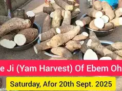Ebem Ohafia Kicks Off 2025 New Yam Festival With Ikere Ji (Yam Harvest) Rites (Photos + Video) Ebem Ohafia Kicks Off 2025 New Yam Festival With Ikere Ji (Yam Harvest) Rites (Photos + Video)