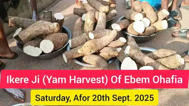 Ebem Ohafia Kicks Off 2025 New Yam Festival With Ikere Ji (Yam Harvest) Rites (Photos + Video) Ebem Ohafia Kicks Off 2025 New Yam Festival With Ikere Ji (Yam Harvest) Rites (Photos + Video)
