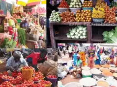 Farmers Slams FG’s Police As Agro-imports Hit N2.2tn Farmers Slams FG’s Police As Agro-imports Hit N2.2tn