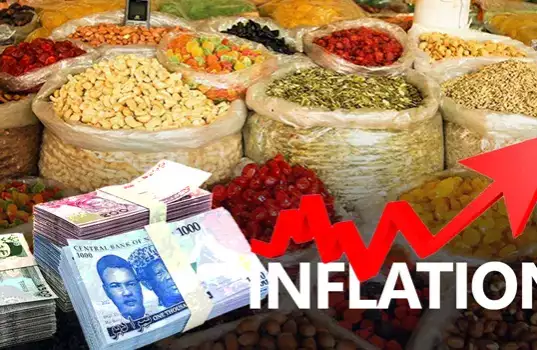 Experts Disagree As Presidency Claims Inflation To Drop To Single Digit Experts Disagree As Presidency Claims Inflation To Drop To Single Digit