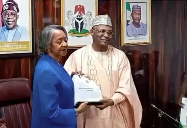 Agbamuche-Mbu Appointed As Acting INEC Chair Agbamuche-Mbu Appointed As Acting INEC Chair