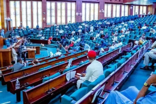 Reps Raises Alarm Over Unidentified Personnel At Checkpoints In South-East, South-South, Urge IGP To Enforce Full Uniform Compliance Reps Raises Alarm Over Unidentified Personnel At Checkpoints In South-East, South-South, Urge IGP To Enforce Full Uniform Compliance