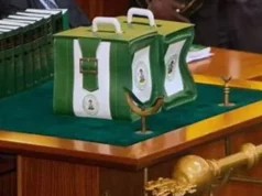 FG Plans To Eliminate Multiple Budgetary Operations FG Plans To Eliminate Multiple Budgetary Operations