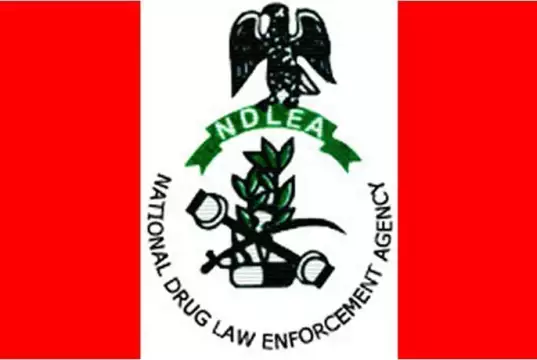 NDLEA Intercepts N3.4bn Drugs, Apprehends Fake Officer, Mechanic NDLEA Intercepts N3.4bn Drugs, Apprehends Fake Officer, Mechanic