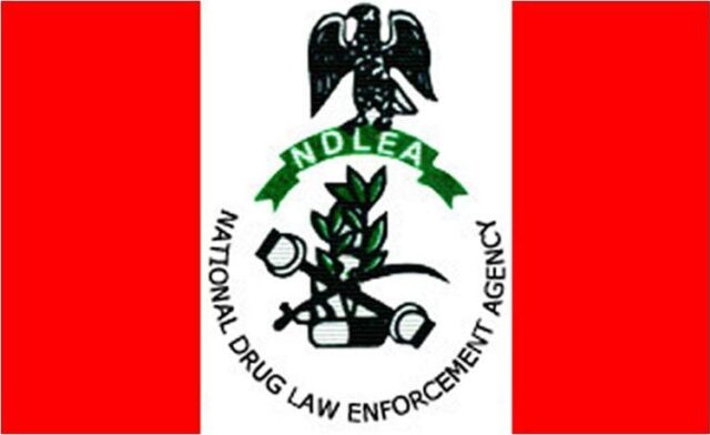 NDLEA Seizes Drugs Hidden In Frozen Snails, Electrical Bulbs NDLEA Seizes Drugs Hidden In Frozen Snails, Electrical Bulbs