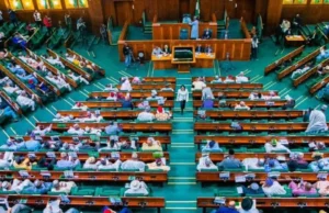 Reps Launches Investigation into Edo Museum’s Funding Reps Launches Investigation into Edo Museum's Funding