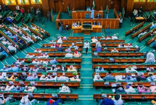 “Bill To Protect Children Against Online Violence, Abuse Passes Third Reading” – Reps "Bill To Protect Children Against Online Violence, Abuse Passes Third Reading" - Reps
