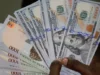 Naira Faces Fresh Pressure as Parallel Market Rates Weaken Despite Official FX Stability Naira Faces Fresh Pressure as Parallel Market Rates Weaken Despite Official FX Stability