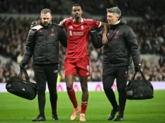 Liverpool Awaits Isak Result After Injury Liverpool Awaits Isak Result After Injury
